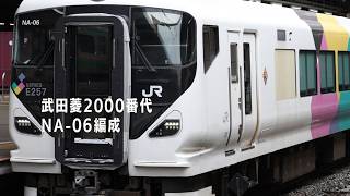 【珍車】E257系2000番代 原色武田菱カラー