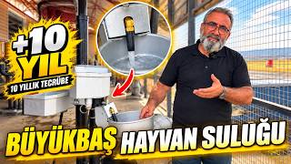 Yeni Model Büyükbaş Hayvan Suluğu - Eşref Şekerli