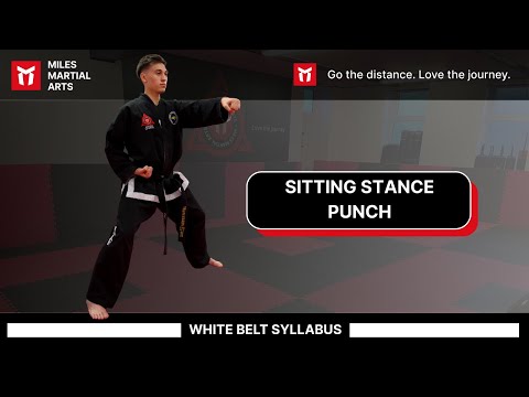 SITTING STANCE MIDDLE PUNCH