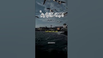 فارس عباد | سورة النحل (الآيتان ١٢٧-١٢٨)