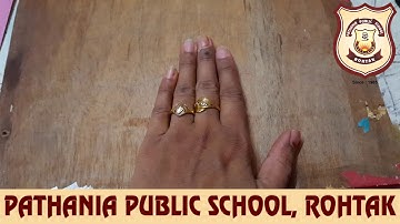 Pathania World Campus- Class 4- Computer- EV-2 Computer Activities