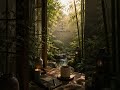 GroundedFM | Calming Focus Music | Bright Stream #ambientmusic #focusmusic #deepfocus #jazzhop
