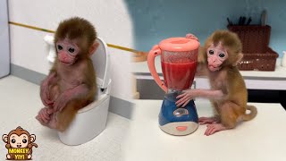 Smart monkey baby Yumy knows  to use the toilet and helps dad make watermelon juice