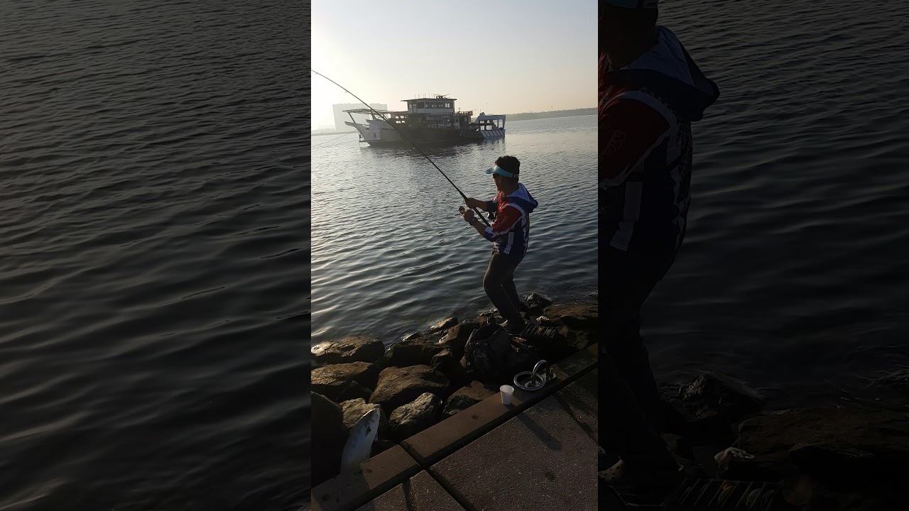 Golden Trevaly on shore by MEGABASS ZONK 120