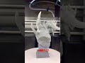 DIABLO , this one took 20 minutes to get the supports off . 5 1/2 hour print .