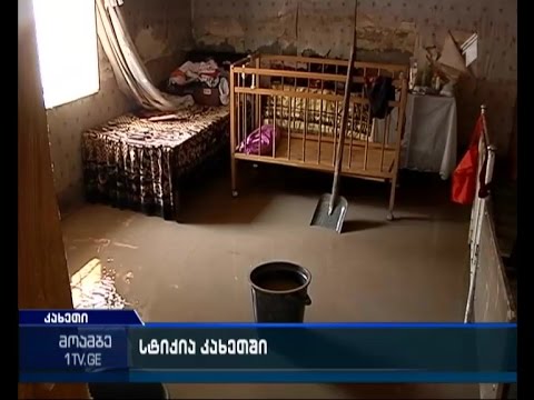 დასეტყვილი ბაღები და განადგურებული სახნავ-სათესი მიწები - სტიქია კახეთში