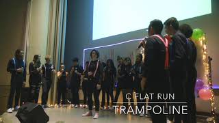 C Flat Run - Trampoline