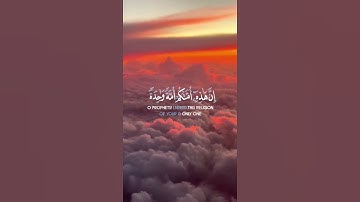 ما تيسر من سورة الأنبياء | القرآن الكريم | القارئ إسلام صبحي