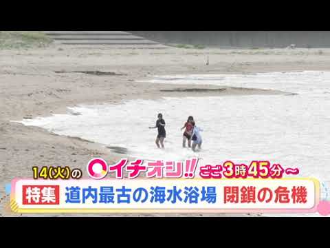 【公式】7月14日（火）イチオシ！！　番組予告