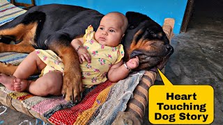 Dog and baby&#39;s emotional bonding ❤️ | emotional dog videos | dog miss his owner |