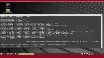 installing Go And write Hello World on Linux Mint 19.3 Tricia
