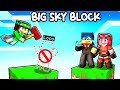HO FINALMENTE BANNATO TUTTI su MINECRAFT! - BIG SKYBLOCK