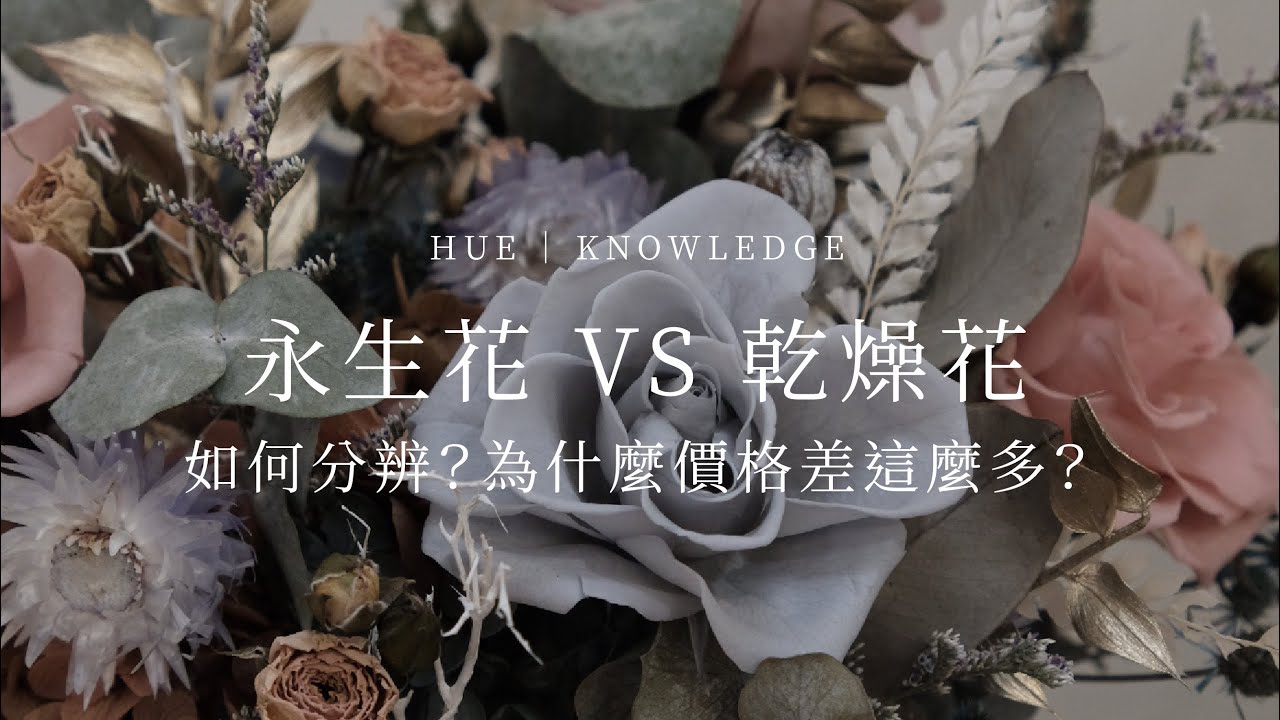 永生花vs 乾燥花 如何分辨 為什麼價格差這麼多 Hue 花藝知識 Youtube