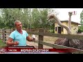 Екзотична ферма у Мукачеві приваблює все більше туристів