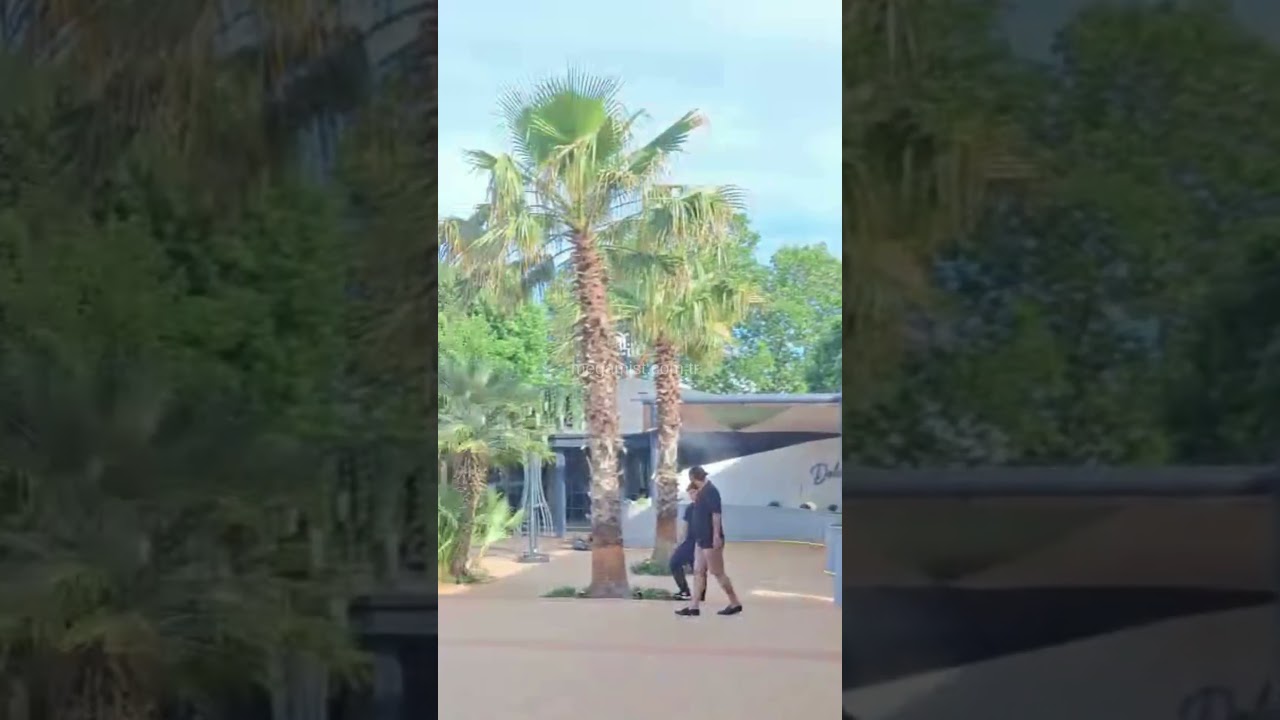 Açık alanda çalışan buharlı vantilatör ve sisleme sistemi videosu