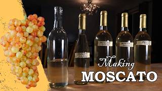 Making Moscato Wine From Muscat Grapes