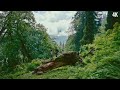 4K | Entrance to Psychedelic Valley - One of the Easiest Trails in Manali