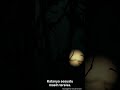 The Secrets of Aokigahara Forest