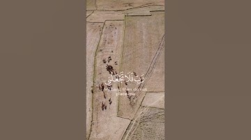 سورة المؤمنون الآيات ٩٣ و٩٤ القارئ رعد الكردي