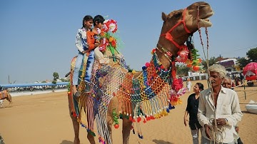 Camel Ride Video by Kids at Pushkar Camel Fair || Unt ki Sawari || ऊंट का वीडियो || جمل كرتون