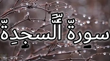 ارح سمعك...تلاوه هادئه تريح العقل والقلب 💚🎧| سورة السجدة كاملة بصوت الشيخ مشاري العفاسي