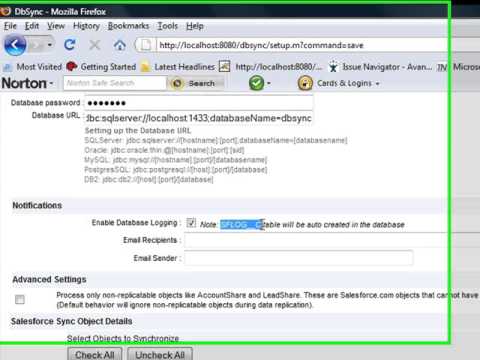 Salesforce to Database Synchronization
