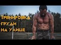 Тренировка Груди На Улице [Pride Team]