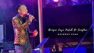 Konsert Kitani | Bungai Layu Patah Di Tangkai | Anthony Usan | Dewan Suarah Limbang