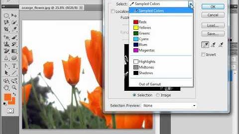 Photoshop CS5 Tutorial Selecting by Color Range Adobe Training Lesson 7.8