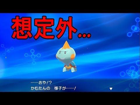 ソードシールド カムカメの種族値 わざ 特性など能力と入手方法 ポケモン剣盾 攻略大百科