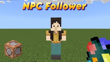 Minecraft Bedrock NPC Followers
