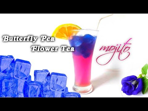 butterfly-pea-flower-tea-mojito|-non-alcoholic|-asian-mocktail