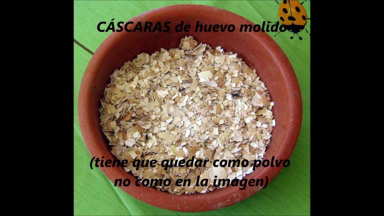 Facil Alimento Para Perros Gatos Croquetas Y En Pasta Youtube Facil Alimento Para Perros Gatos Croquetas Y En Pasta Youtube
