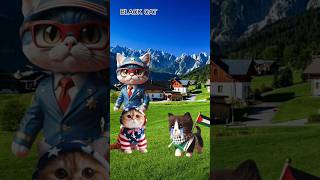 Kucing Palestina Sedih😫