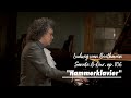 Capture de la vidéo Beethoven Sonate Op. 106 "Hammerklaviersonate" | Christoph Berner