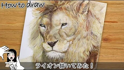 色鉛筆でライオンを描いてみた Realistic Colored Pencil Drawing Of A Lion Mp3