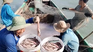 Đánh bắt hải sản trên vùng biển "Đất Mũi Cà Mau"@ToanCaMauVlog