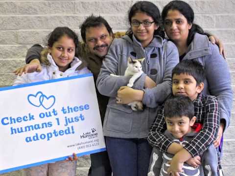 Share the Love Adoption Event Video - YouTube