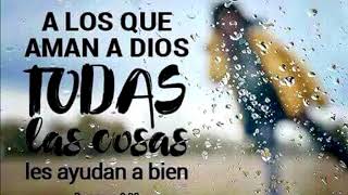 voy a perder la compostura _ pista y letra.