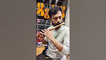 Ilaya Nila Pozhigirathe flute piece