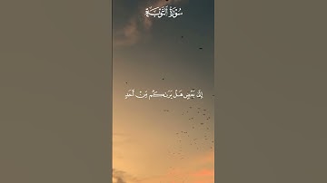 تلاوة تأخذك لعالم آخر ماتيسر من خواتيم سورة التوبة | القارئ سعود الشريم