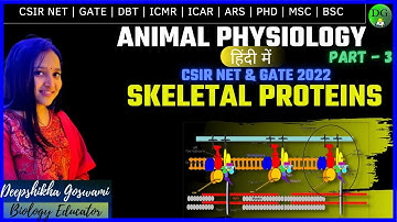 SURE SHOT SERIES 3.0 | PART - 14| SKELETAL PROTEINS SUMMARY| ANIMAL PHYSIOLOGY  | DEEPSHIKHA GOSWAMI