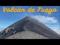 Volcan de fuego  guatemala 2023  2 marmosets autour du monde