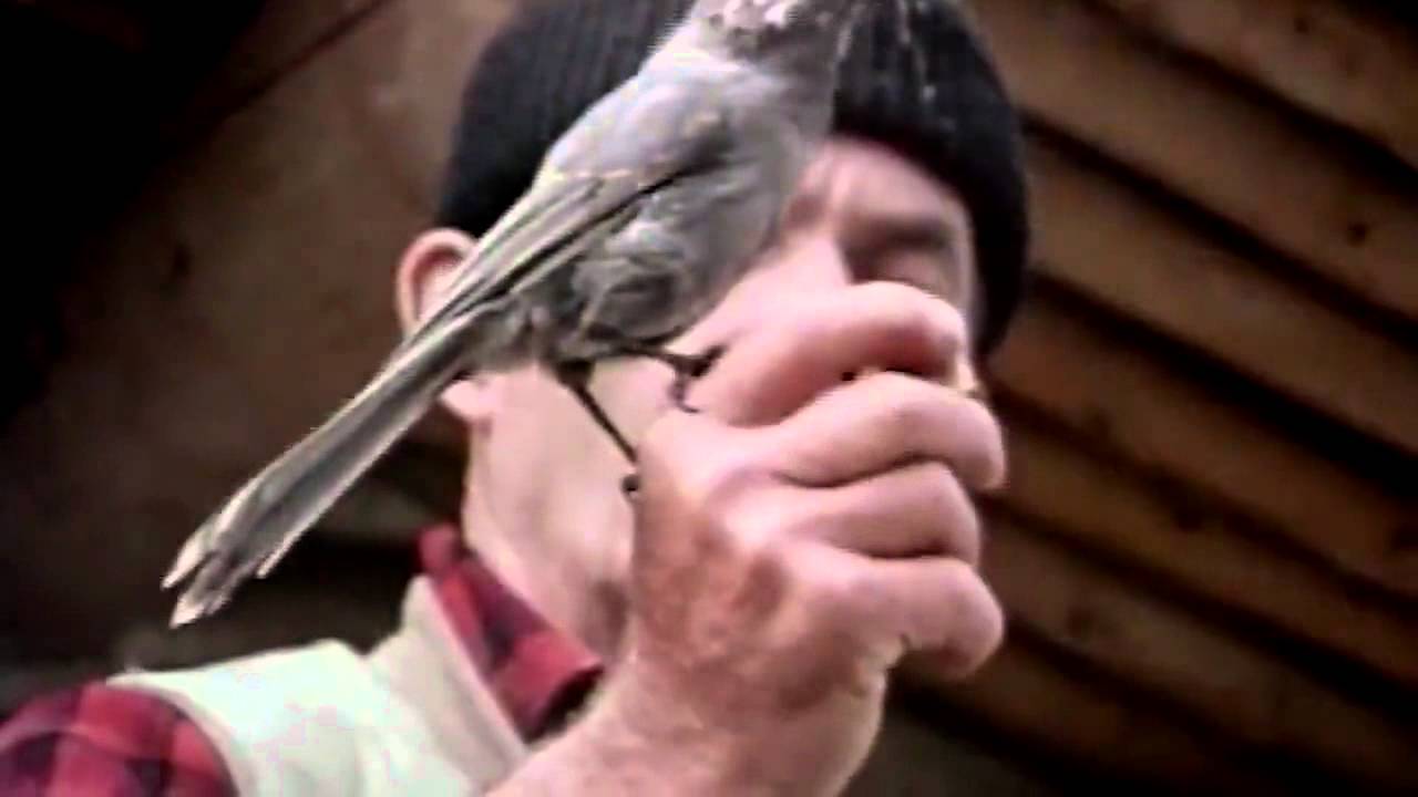The Smiths Well I Wonder [music video] YouTube