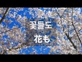 天心苑 천심원 Cheonshimwon 꽃들도 花も 찬양 讃美 가사 한국어 일본어 歌詞 韓国語 日本語 天心苑 천심원 Cheonshimwon 꽃들도 花も 찬양 讃美 가사 한국어 일본어 歌詞 韓国語 日本語