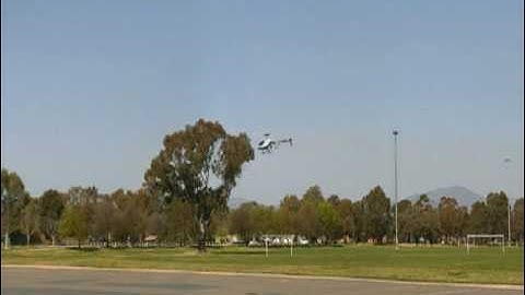 Phoenix RC Simulator - TREX 600