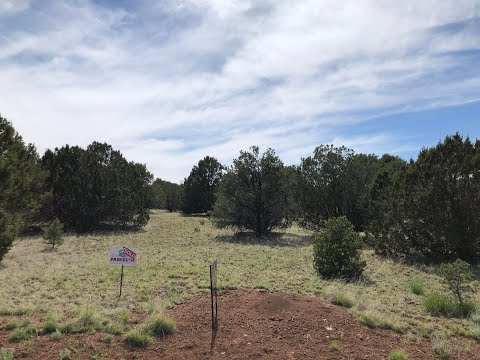 7502 Daisy Drive, Williams, AZ home video tour