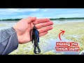 PUNCHING for bass! (Crazy fun and DANGEROUS?)