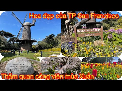 Video: Thành Phố Golden Canyon