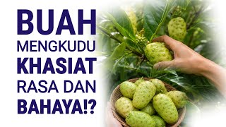 NONI: Its Benefits, Taste, and Dangers! The Pungent-Smelling Fruit That’s Actually Full of Benefits